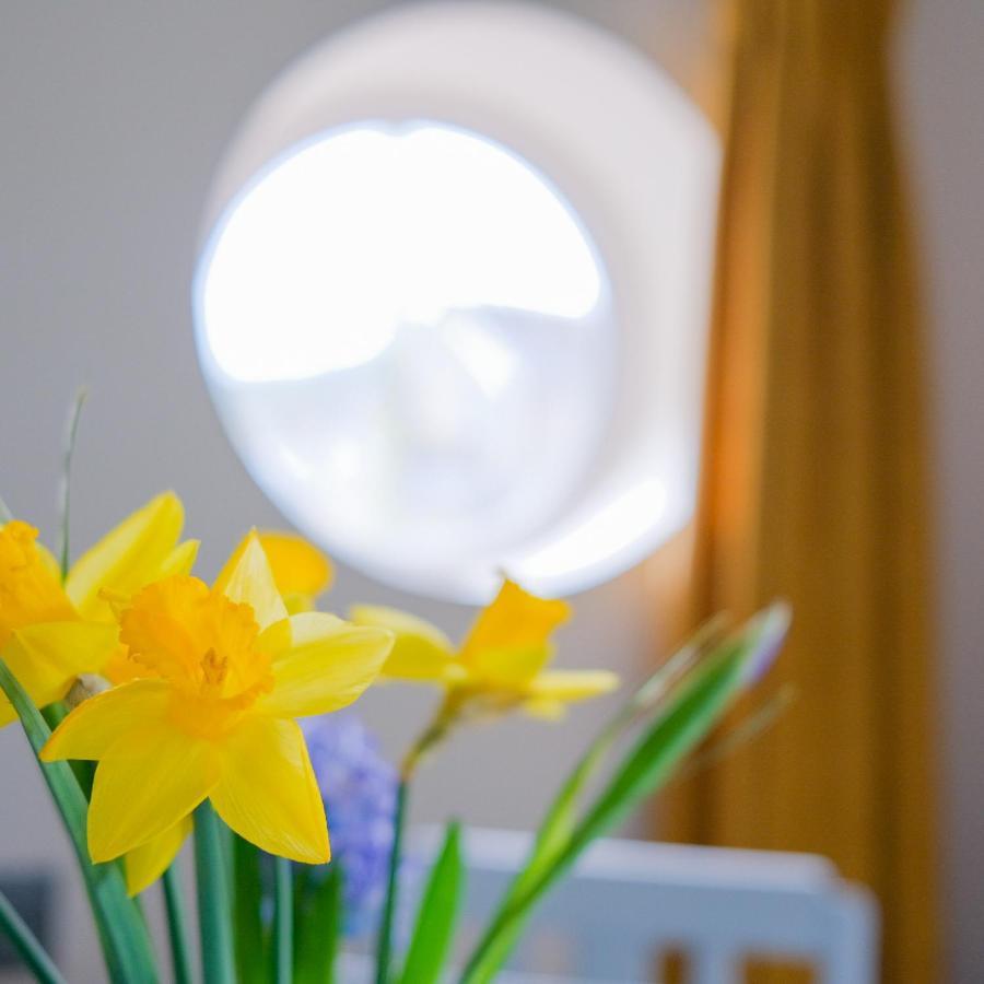 Burnside Cottage Sleights エクステリア 写真